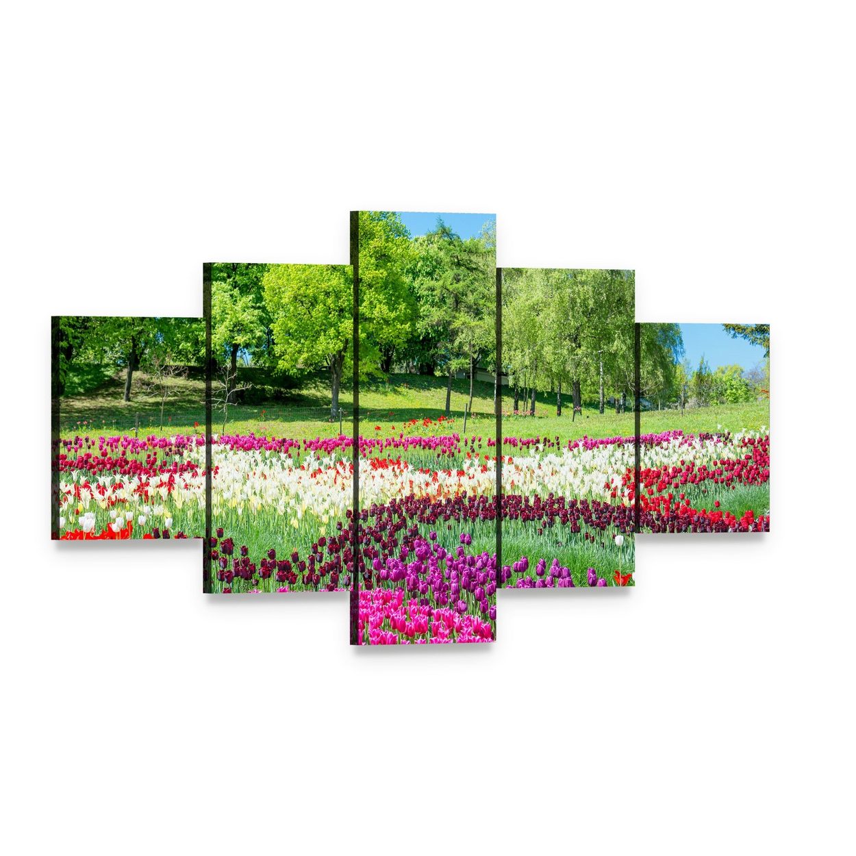 Colorful Tulips in a Green Park Canvas Wall Art, 5 panel 5 Star layout gallery wrapped canvas set, angled product view