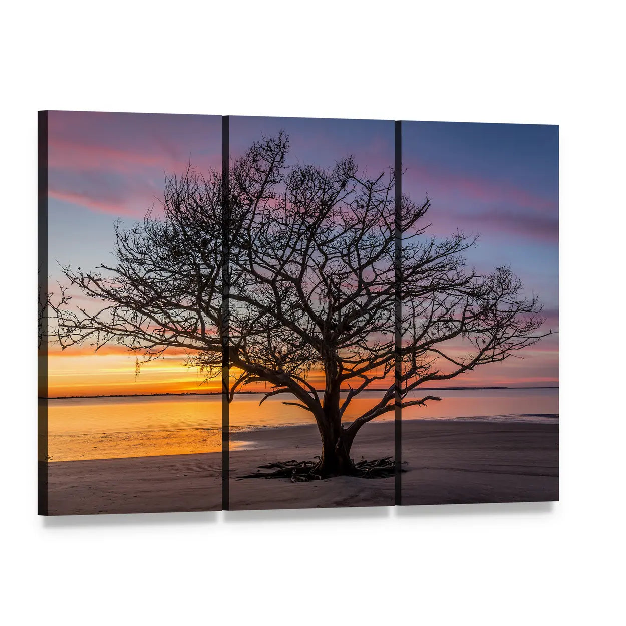 Georgia Live Oak at Sunset Canvas Wall Art, 3 panel 3 Horizontal layout gallery wrapped canvas set, angled product view