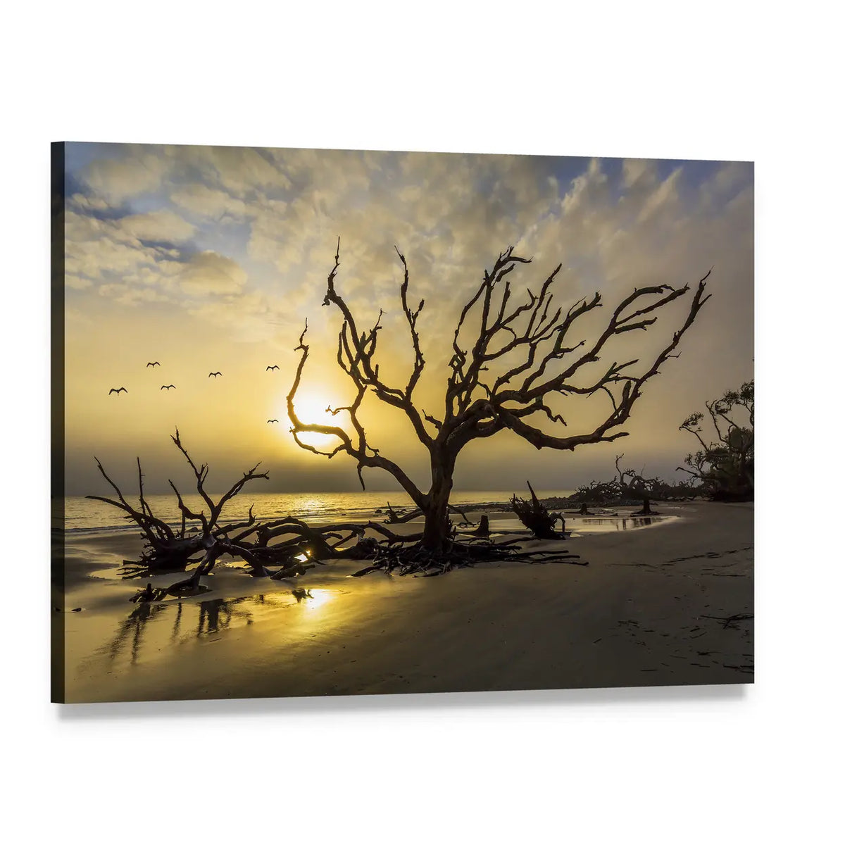 Driftwood Covered Beach at Sunset Canvas Wall Art, single panel gallery wrapped canvas, angled product view