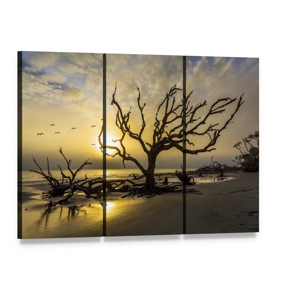 Driftwood Covered Beach at Sunset Canvas Wall Art, 3 panel 3 Horizontal layout gallery wrapped canvas set, angled product view