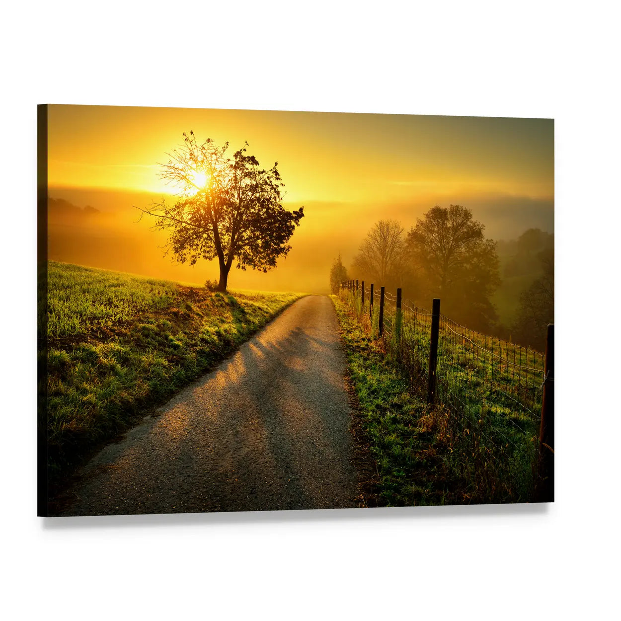 Winding Country Road at Sunrise Canvas Wall Art, single panel gallery wrapped canvas, angled product view