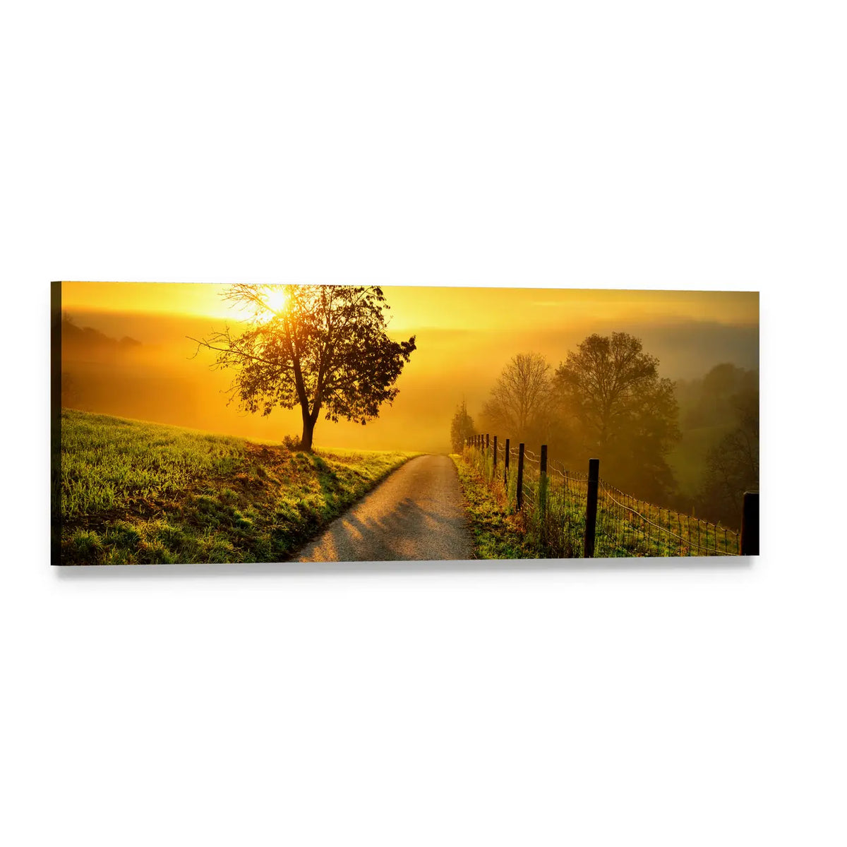 Solitary Tree on Rural Hill at Sunset Panoramic Canvas Wall Art, single panel gallery wrapped canvas, angled product view