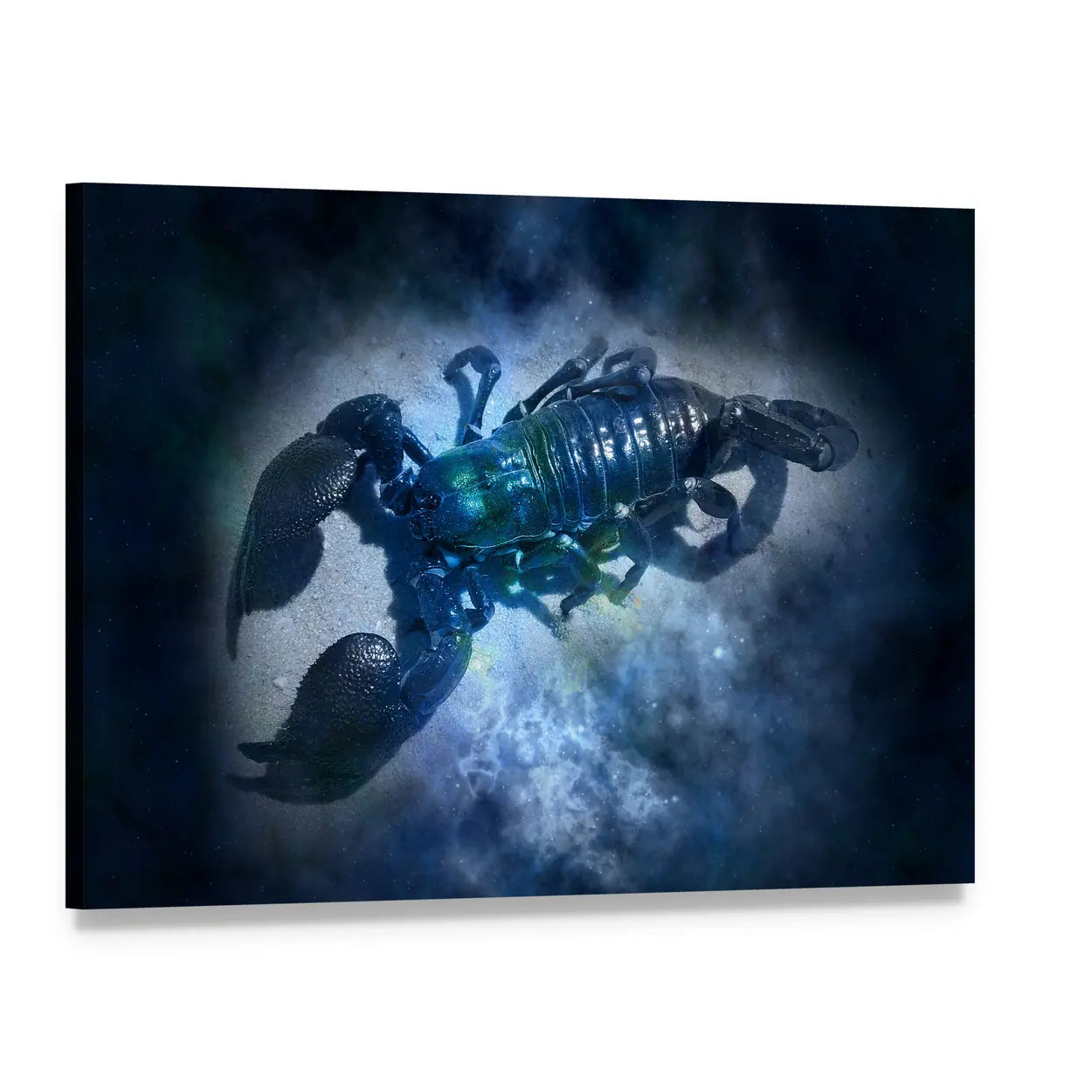 Scorpio Scorpion in Cosmic Nebula Canvas Wall Art, single panel gallery wrapped canvas, angled product view