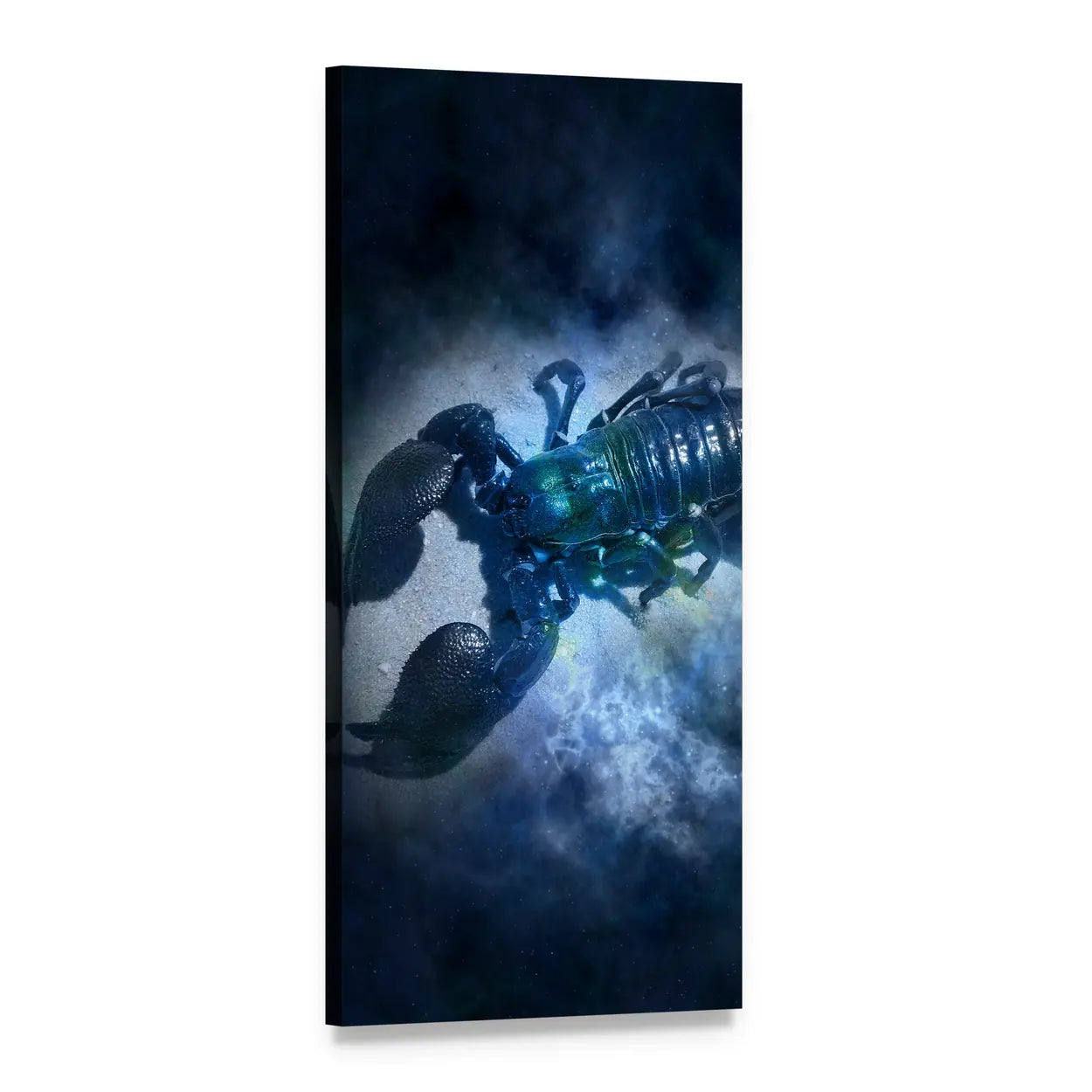 Glowing Scorpion Nebula Vertical Canvas Wall Art, 1 panel 1 Vertical layout gallery wrapped canvas set, angled product view
