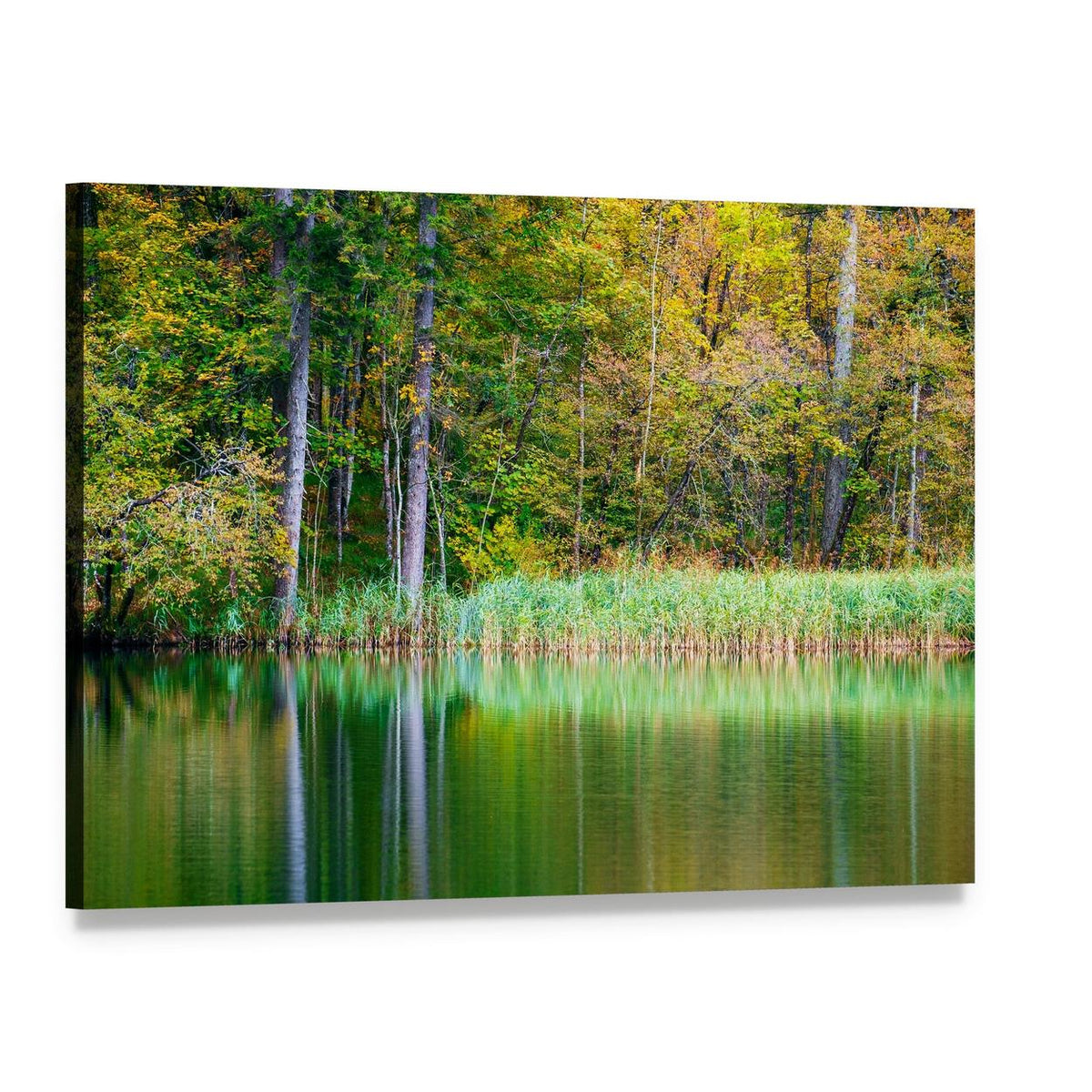 Autumn Reflection at Forest Lake Canvas Wall Art, single panel gallery wrapped canvas, angled product view