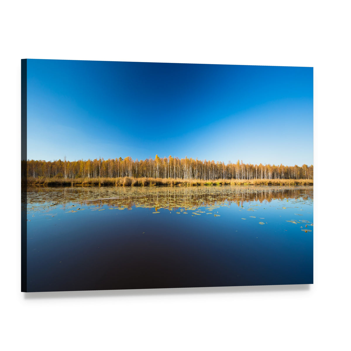 Birch Forest and Lake Canvas Wall Art, single panel gallery wrapped canvas, angled product view