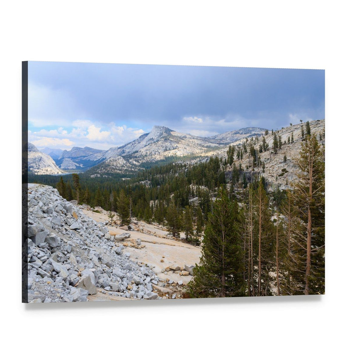 Serene Tioga Road in Yosemite Canvas Wall Art, single panel gallery wrapped canvas, angled product view