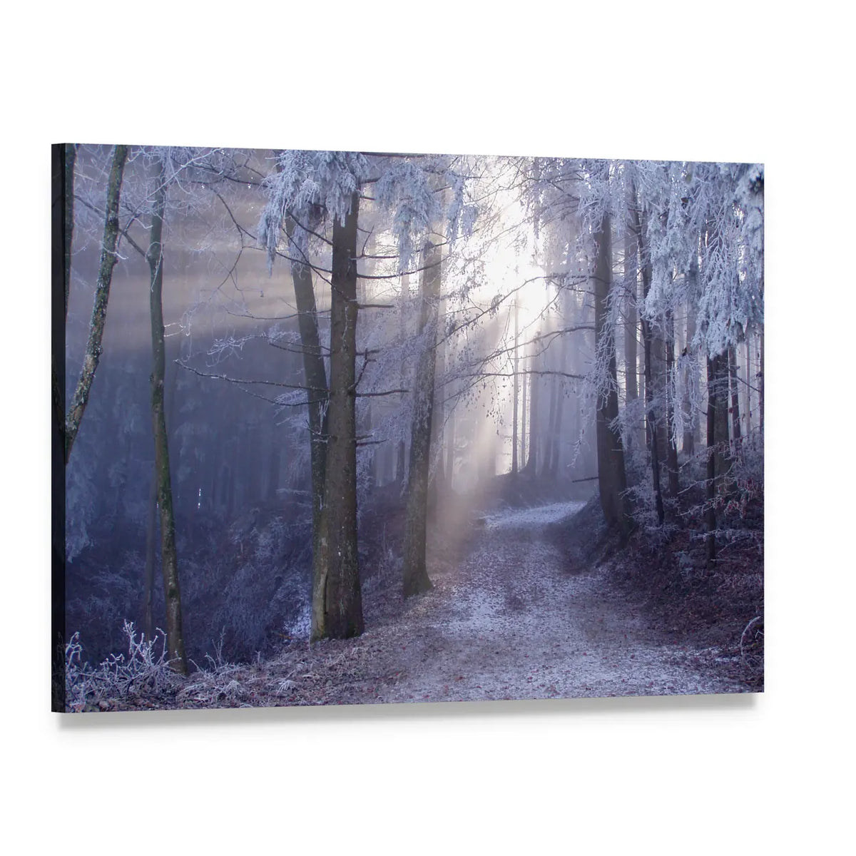 Mystic Forest Track Canvas Wall Art, single panel gallery wrapped canvas, angled product view