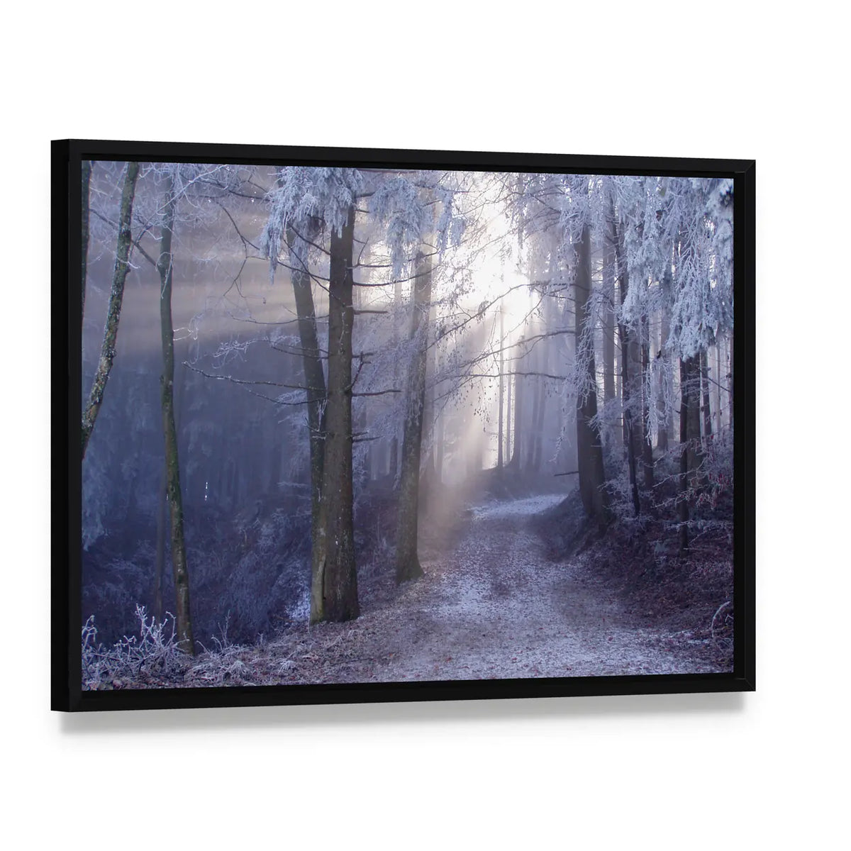 Mystic Forest Track Canvas Wall Art, framed canvas in a black floater frame, angled product view