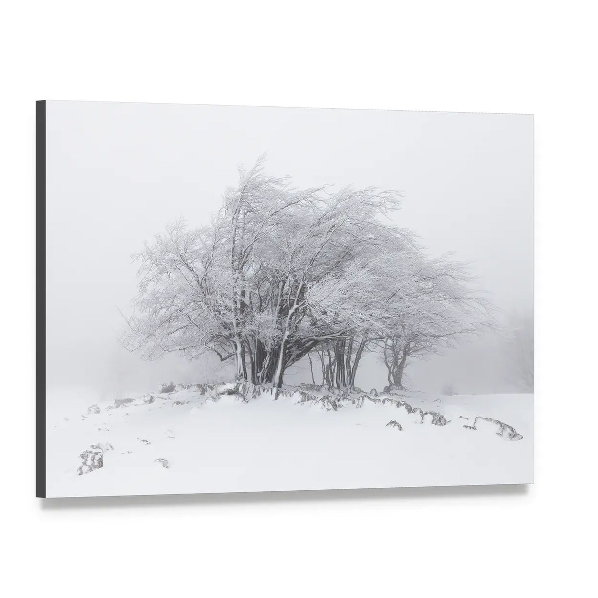 Foggy Winter Landscape In The Forest Canvas Wall Art, single panel gallery wrapped canvas, angled product view