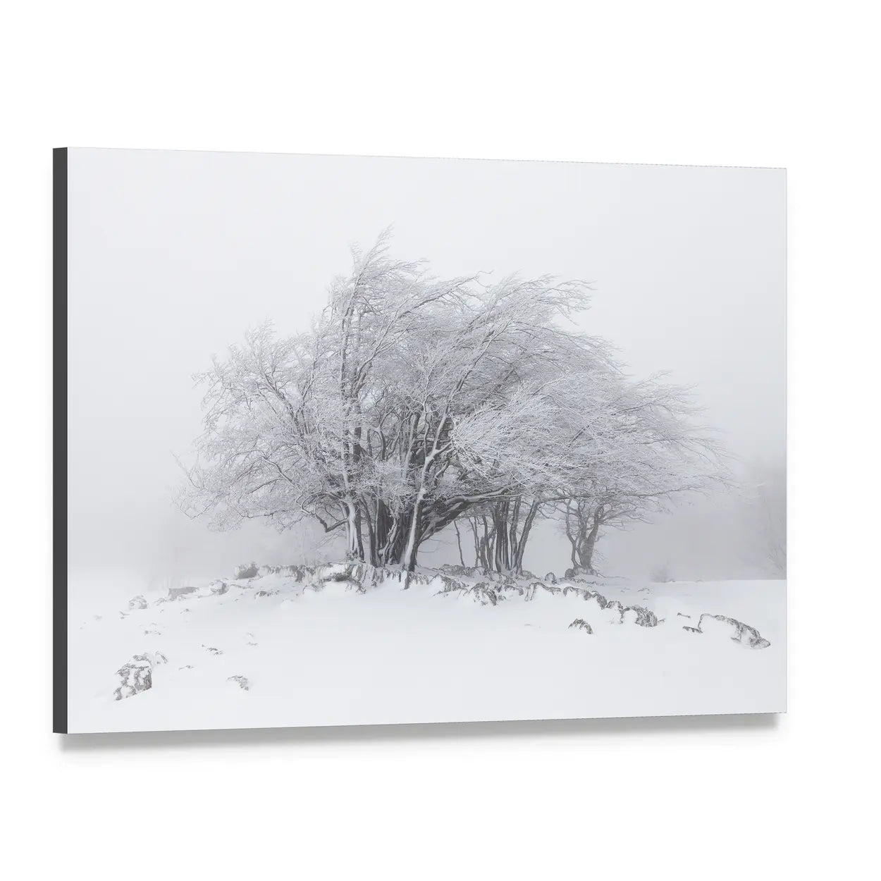 Foggy Winter Landscape In The Forest Canvas Wall Art, single panel gallery wrapped canvas, angled product view