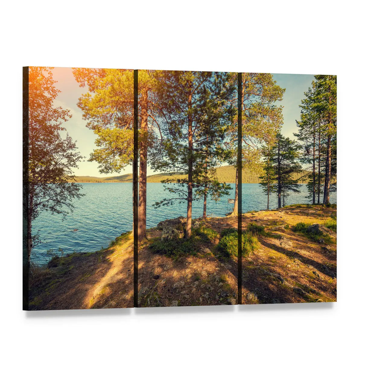 Pine Trees by the Sea in Finland Canvas Wall Art, 3 panel 3 Horizontal layout gallery wrapped canvas set, angled product view