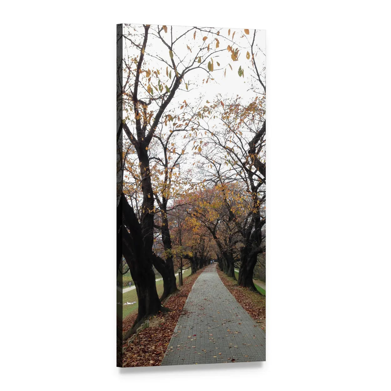 Tree-lined Avenue in Autumn Vertical Canvas Wall Art, 1 panel 1 Vertical layout gallery wrapped canvas set, angled product view