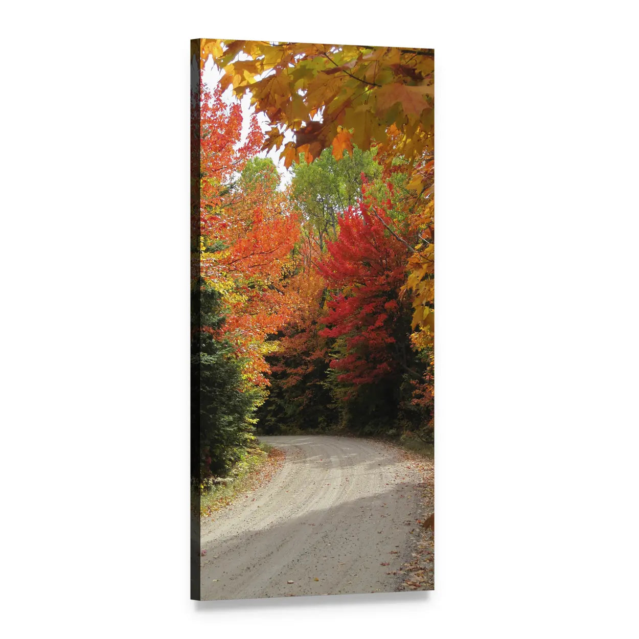 Winding Autumn Road Through Fall Forest Vertical Canvas Wall Art, 1 panel 1 Vertical layout gallery wrapped canvas set, angled product view