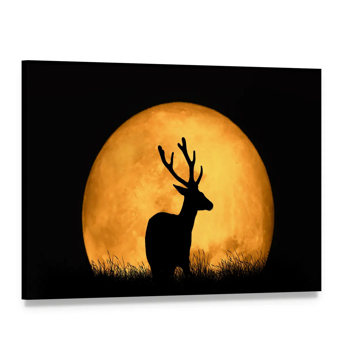 Deer Silhouette With Large Moon Canvas Wall Art, single panel gallery wrapped canvas, angled product view
