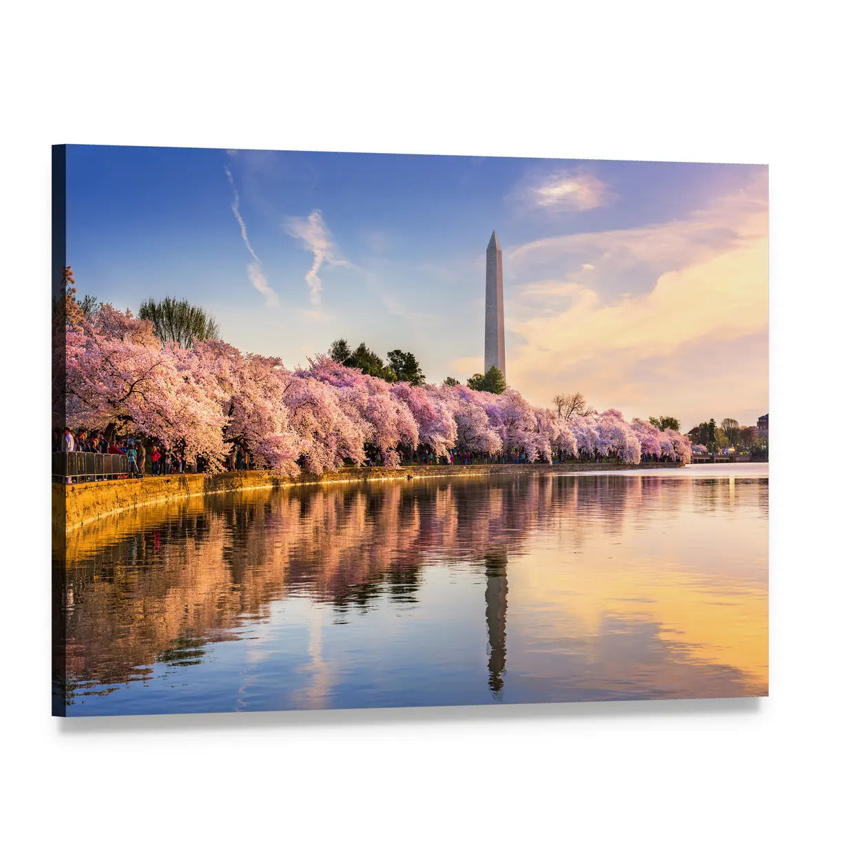 Washington Monument Among Tidal Basin Cherry Blossoms Canvas Wall Art, single panel gallery wrapped canvas, angled product view