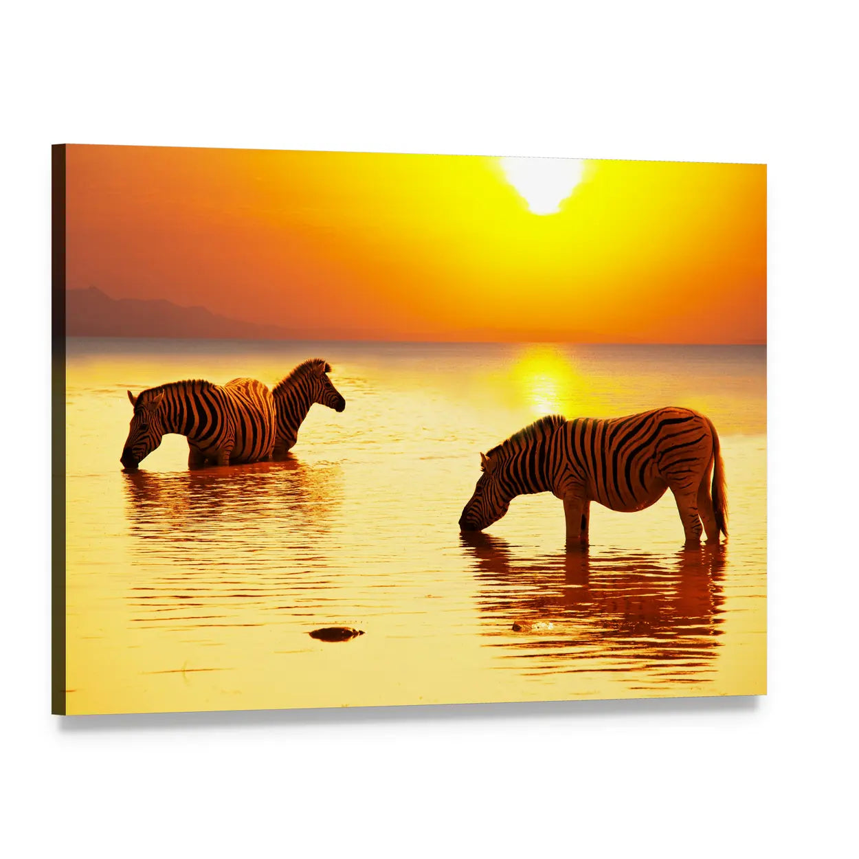 Two Zebras at Golden Sunset Canvas Wall Art, single panel gallery wrapped canvas, angled product view