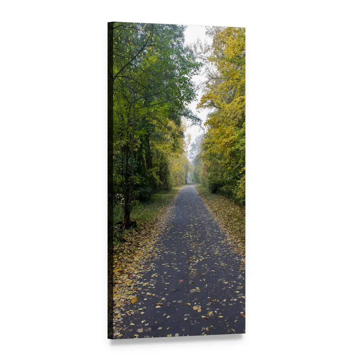 Autumn Trees on Leaf-covered Path Vertical Canvas Wall Art, 1 panel 1 Vertical layout gallery wrapped canvas set, angled product view