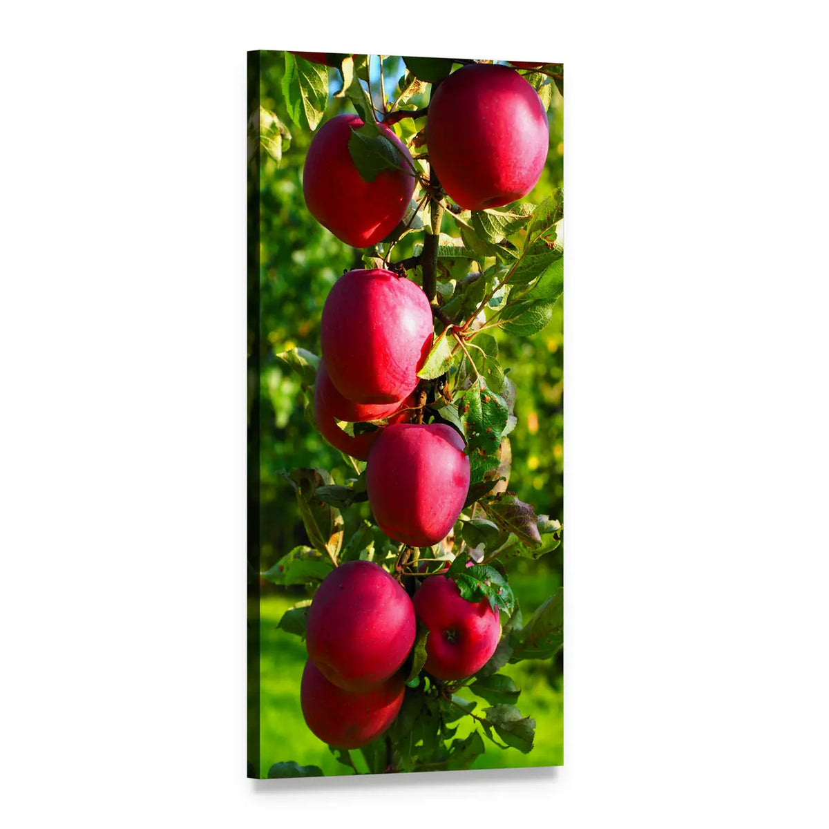 Ripe Red Apples on Branches Vertical Canvas Wall Art, 1 panel 1 Vertical layout gallery wrapped canvas set, angled product view
