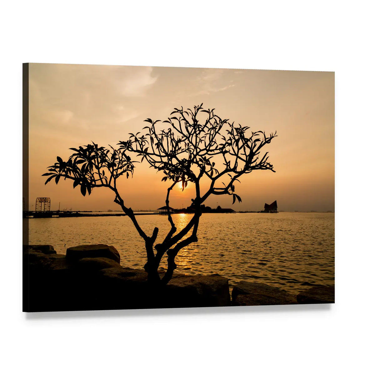 Silhouetted Tree at Sunset Canvas Wall Art, single panel gallery wrapped canvas, angled product view