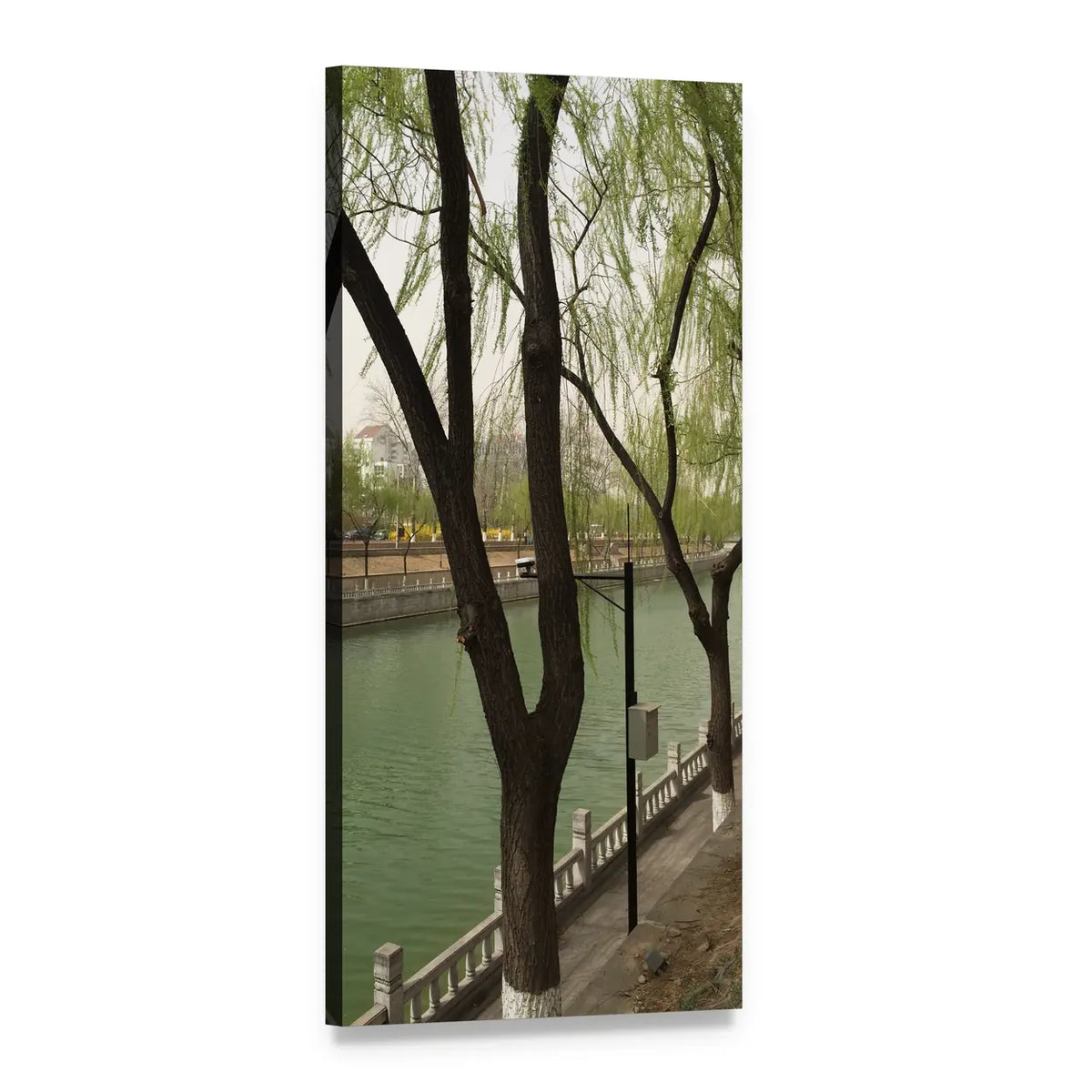 River Banks in Spring Vertical Canvas Wall Art, 1 panel 1 Vertical layout gallery wrapped canvas set, angled product view