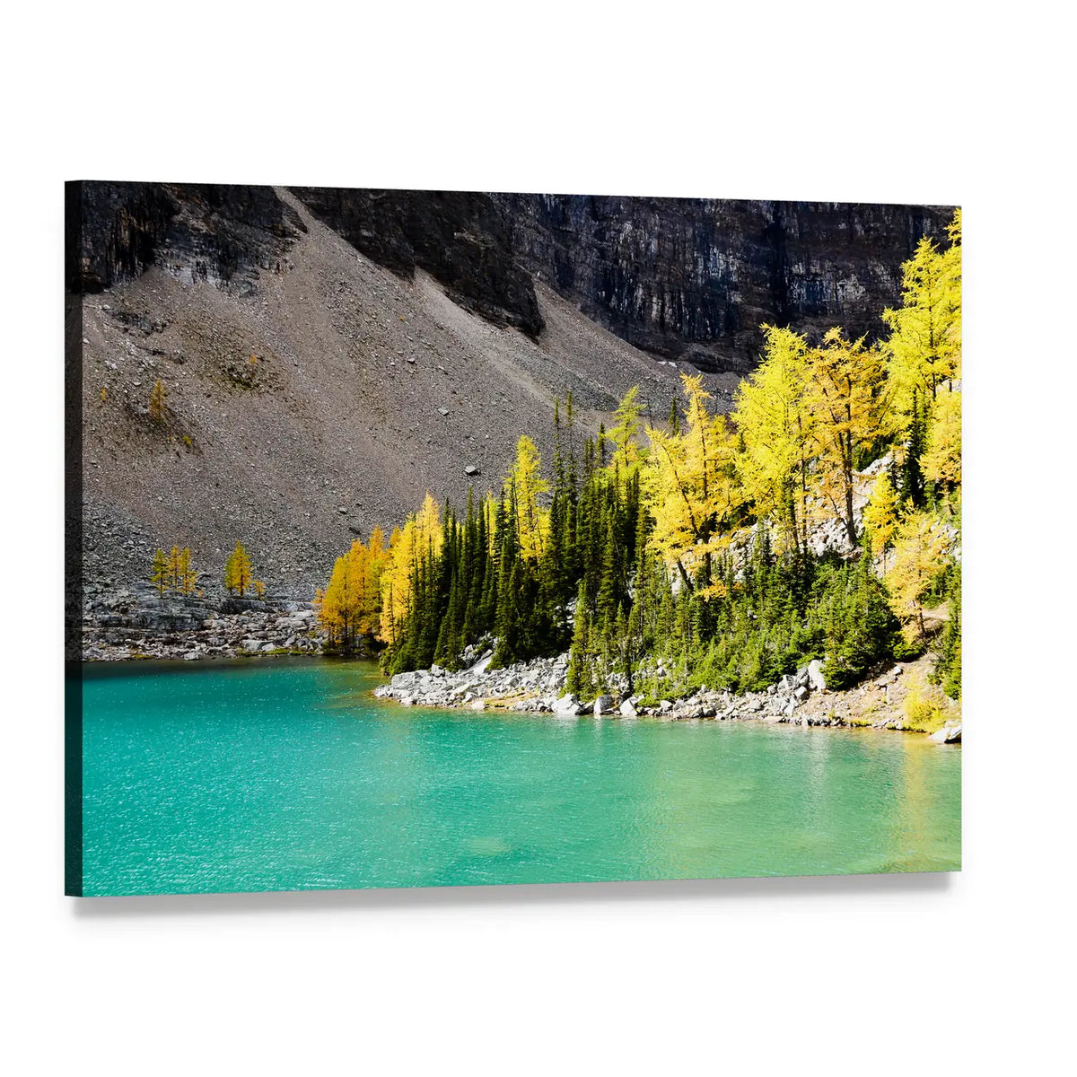 Turquoise Lake Agnes in Autumn Canvas Wall Art, single panel gallery wrapped canvas, angled product view