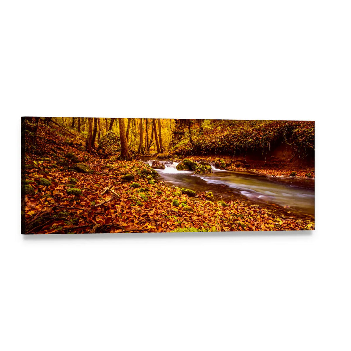 Autumn Forest Stream in Croatia Panoramic Canvas Wall Art, single panel gallery wrapped canvas, angled product view