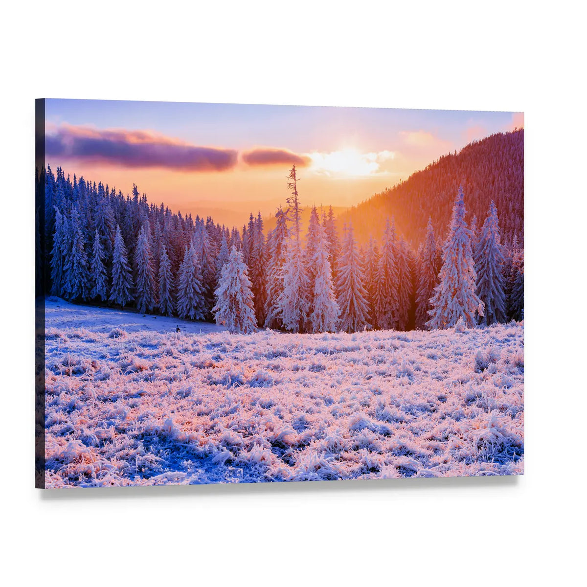 Frost-covered Winter Forest at Golden Hour Canvas Wall Art, single panel gallery wrapped canvas, angled product view