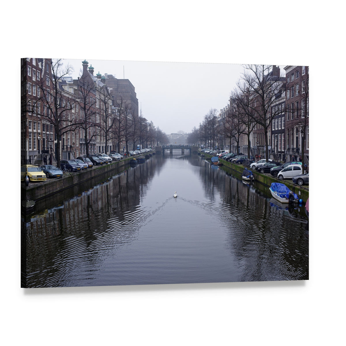 Amsterdam Canal with Swans and Boats Canvas Wall Art, single panel gallery wrapped canvas, angled product view