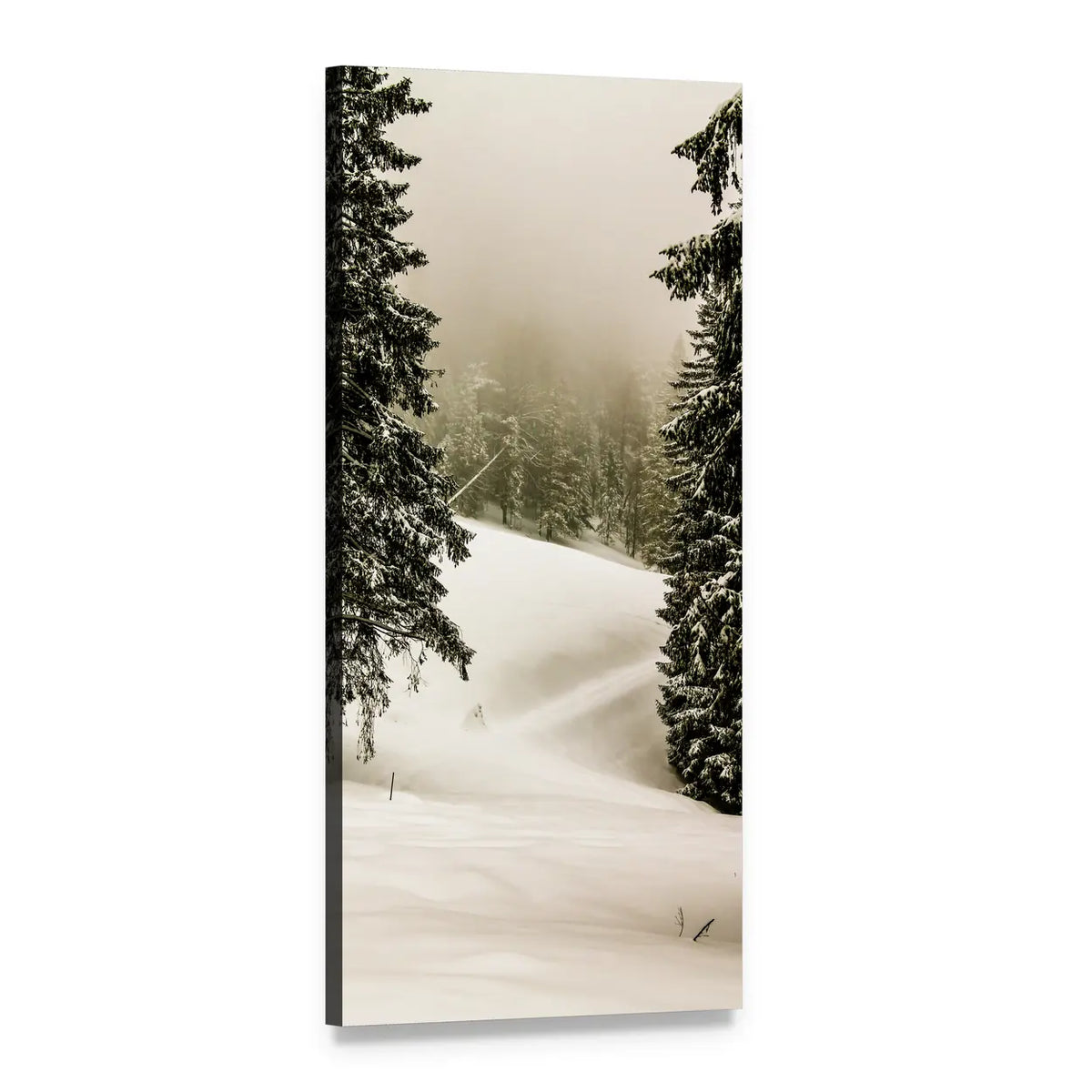 Mystic Winter Forest Vertical Canvas Wall Art, 1 panel 1 Vertical layout gallery wrapped canvas set, angled product view
