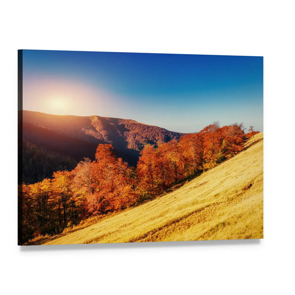 Forest Road in Autumn Canvas Wall Art, single panel gallery wrapped canvas, angled product view