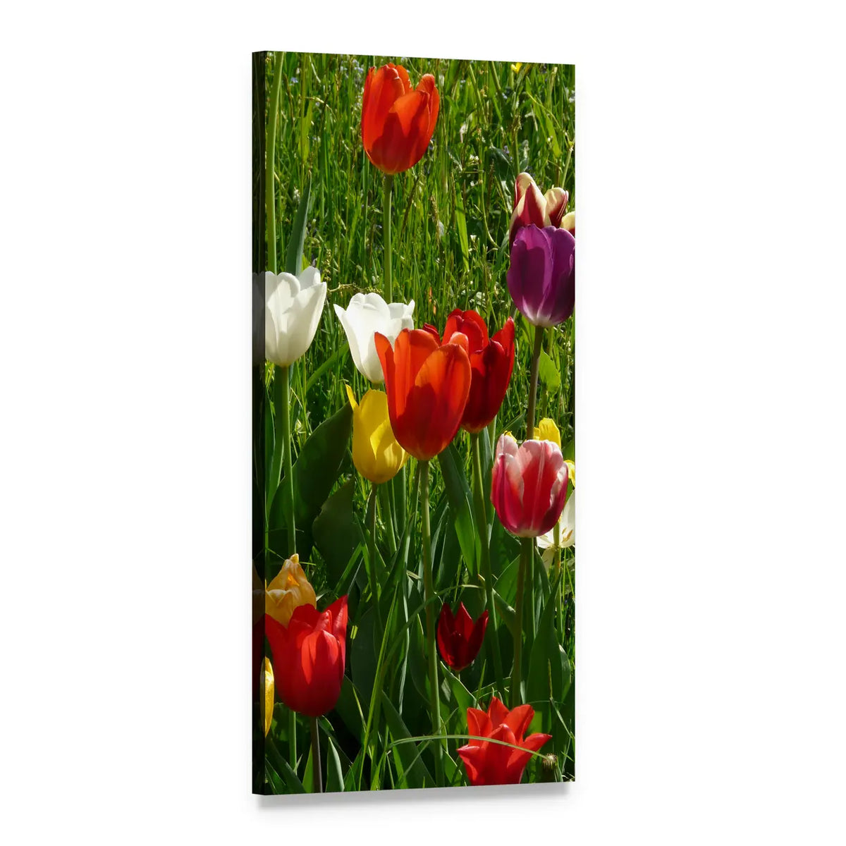 Vibrant Spring Tulips Vertical Canvas Wall Art, 1 panel 1 Vertical layout gallery wrapped canvas set, angled product view
