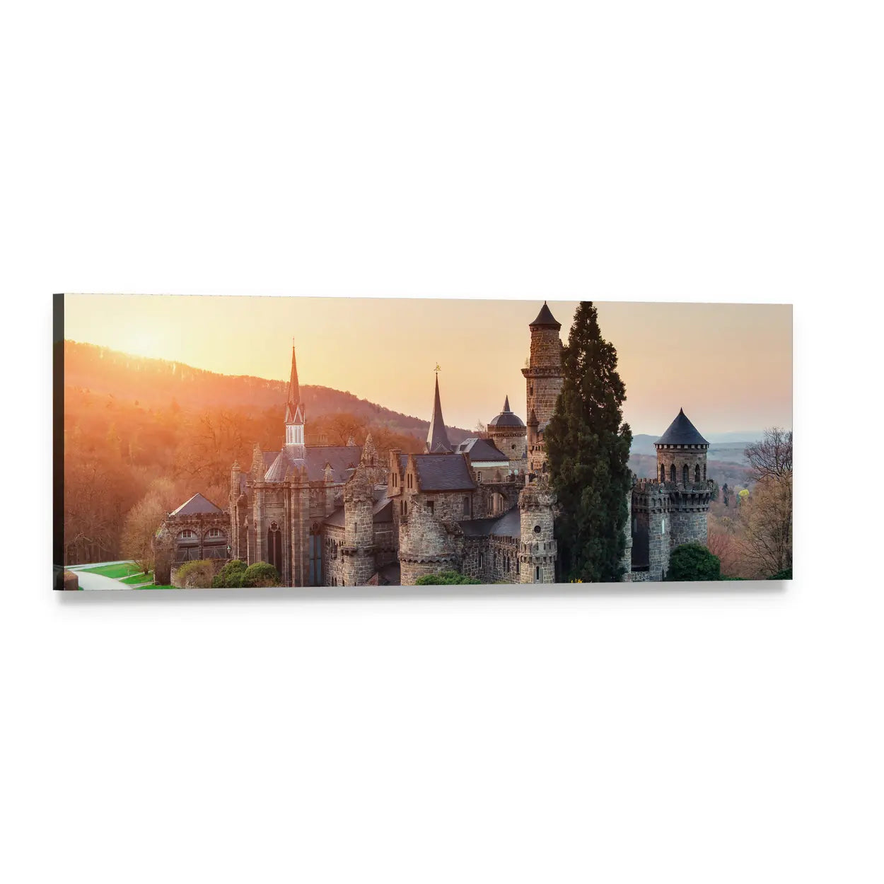 Castle in Germany at Sunset Panoramic Canvas Wall Art, single panel gallery wrapped canvas, angled product view