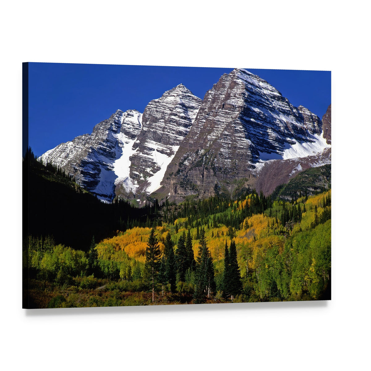 Majestic Colorado Forest with Autumn Foliage Canvas Wall Art, single panel gallery wrapped canvas, angled product view