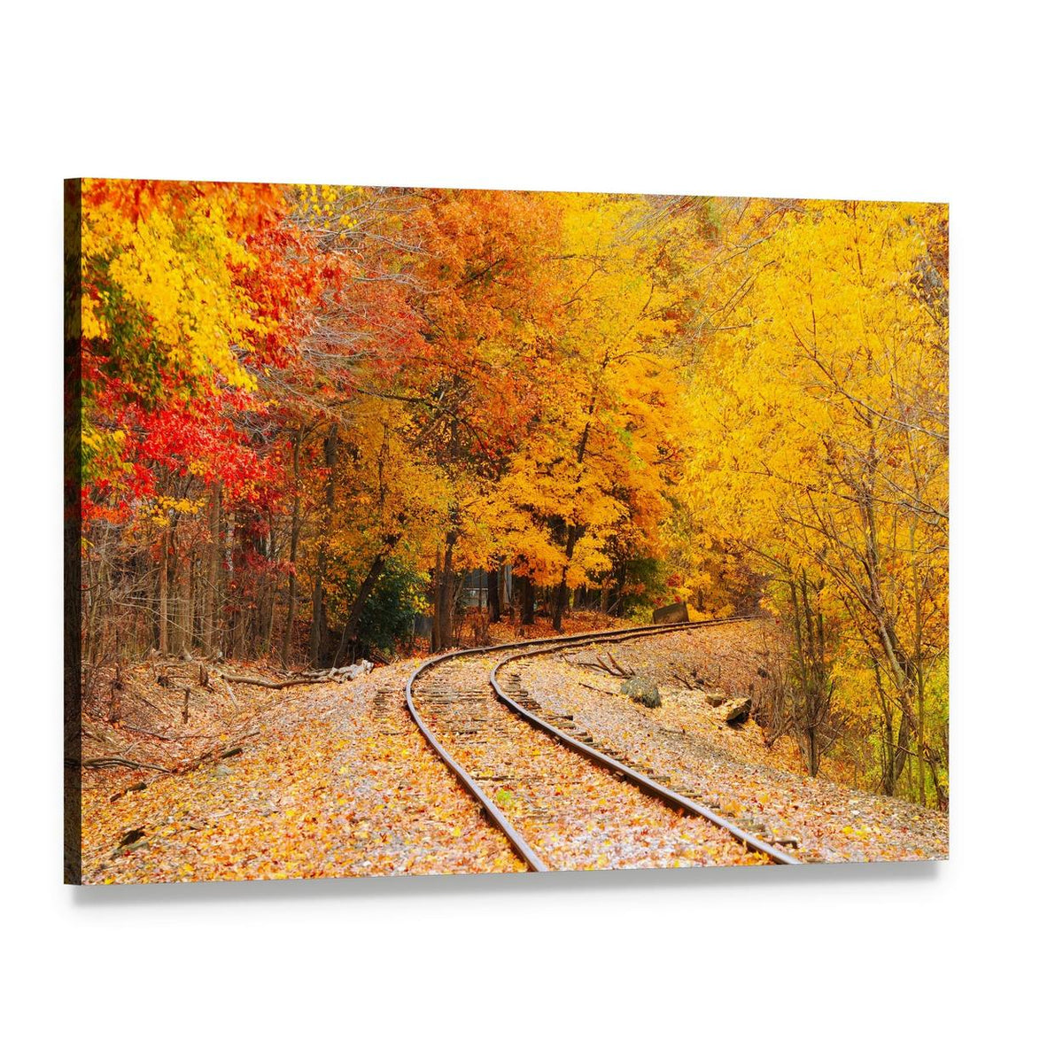 Railroad Track in Autumn Canvas Wall Art, single panel gallery wrapped canvas, angled product view