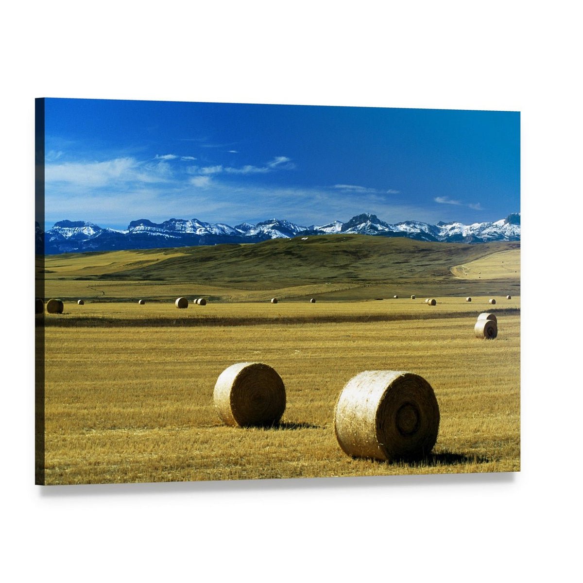 Round Hay Bales with Snow-capped Mountains Canvas Wall Art, single panel gallery wrapped canvas, angled product view