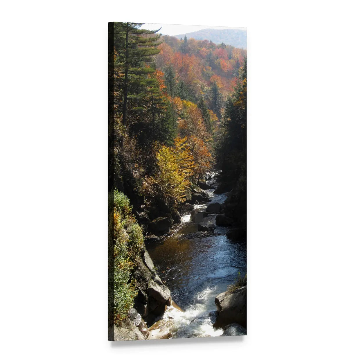 Forest Creek in Autumn Vertical Canvas Wall Art, 1 panel 1 Vertical layout gallery wrapped canvas set, angled product view