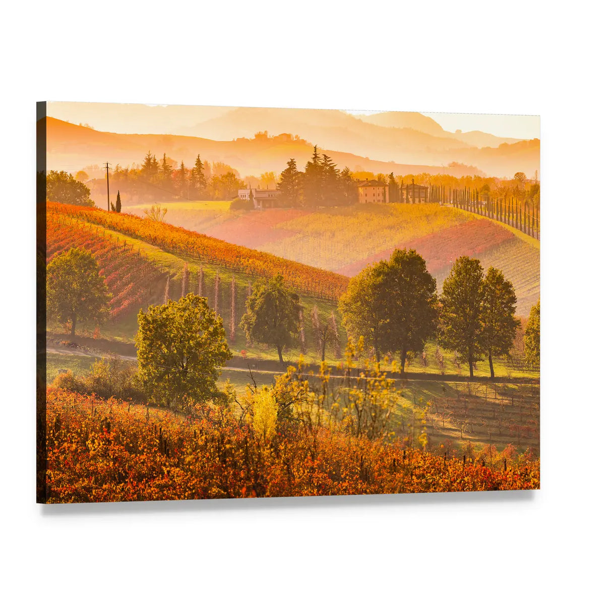 Italian Vineyards and Rolling Hills Canvas Wall Art, single panel gallery wrapped canvas, angled product view