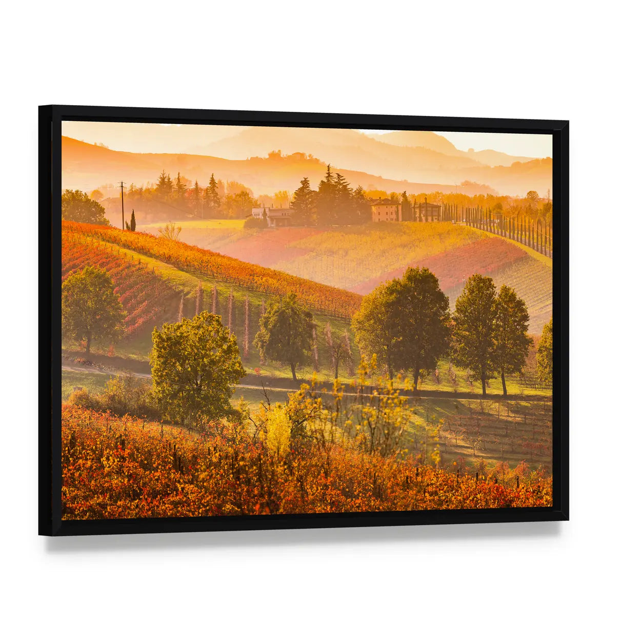 Italian Vineyards and Rolling Hills Canvas Wall Art, framed canvas in a black floater frame, angled product view