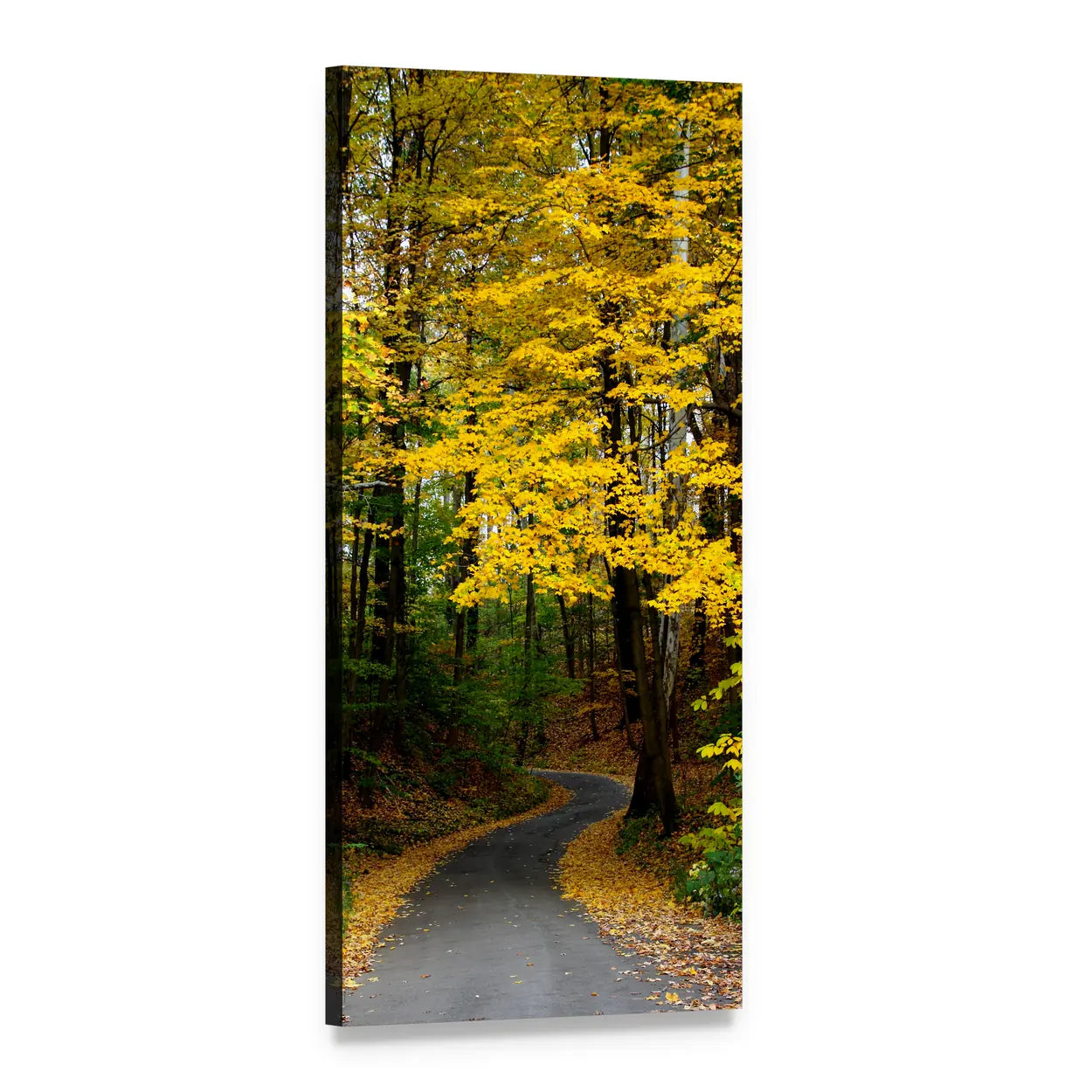 Autumn Forest Road with Yellow Leaves Vertical Canvas Wall Art, 1 panel 1 Vertical layout gallery wrapped canvas set, angled product view