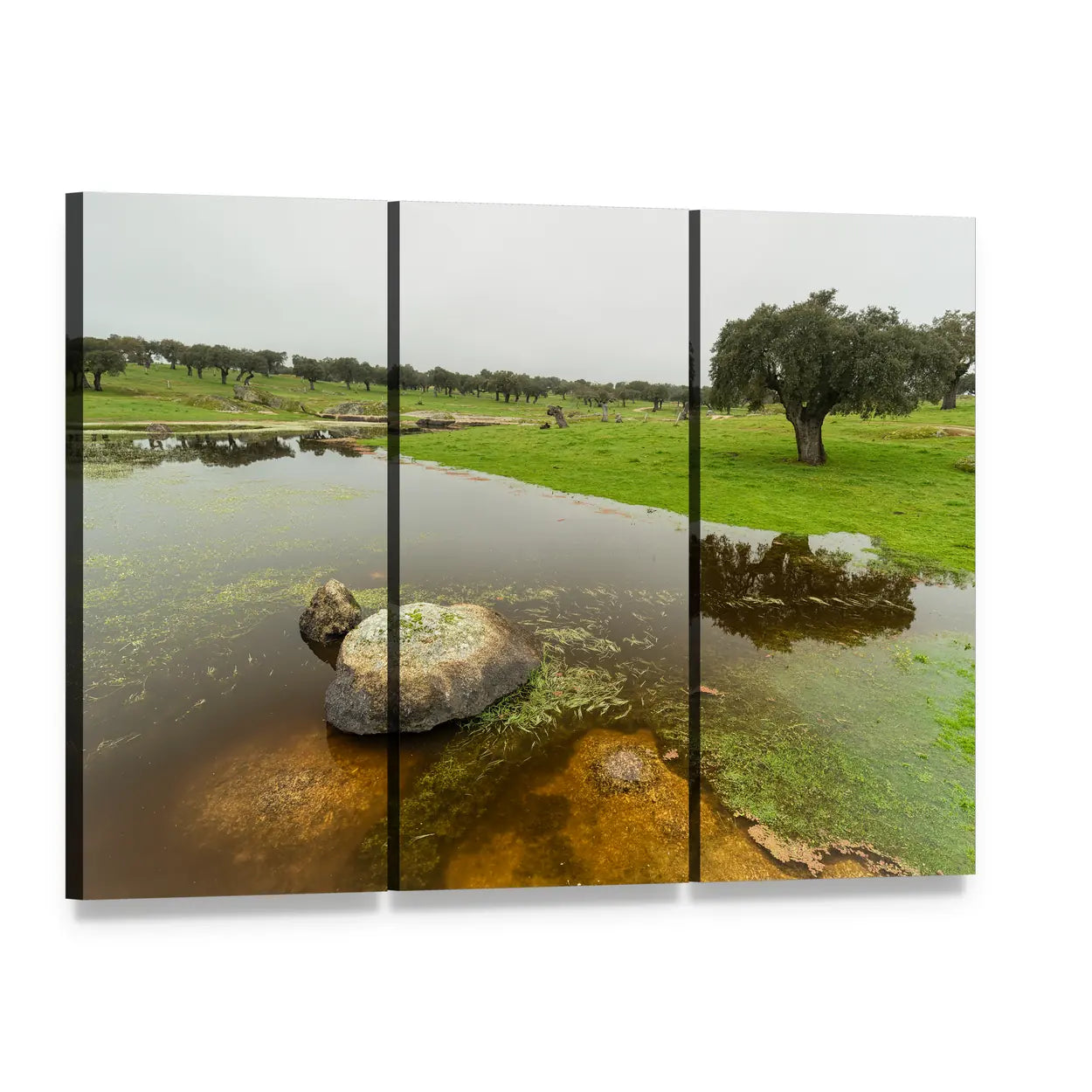Calm Pond with Tree and Rocks Canvas Wall Art, 3 panel 3 Horizontal layout gallery wrapped canvas set, angled product view