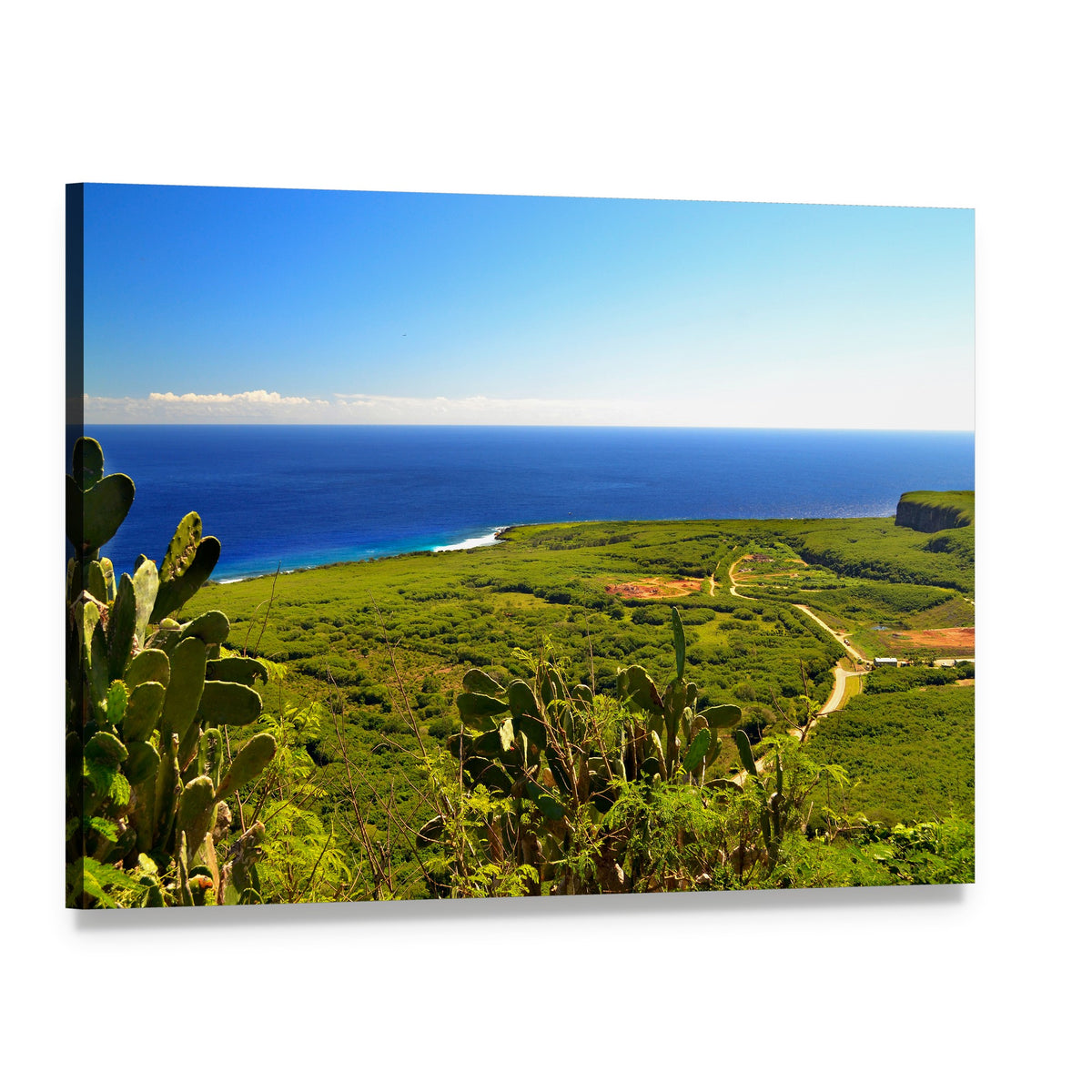 Saipan Coastline with Cactus Canvas Wall Art, single panel gallery wrapped canvas, angled product view