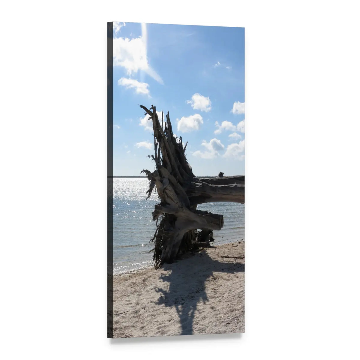 Oak Tree Trunk on Sandy Beach Vertical Canvas Wall Art, 1 panel 1 Vertical layout gallery wrapped canvas set, angled product view