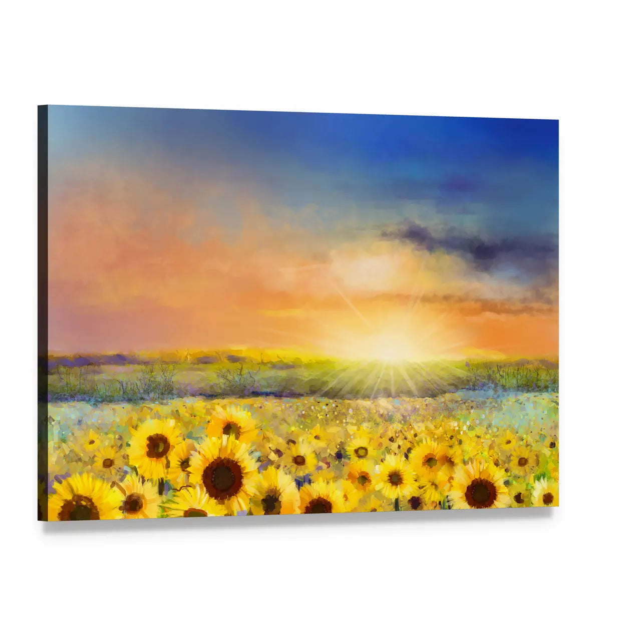 Sunflowers in Warm Sunlight Canvas Wall Art, single panel gallery wrapped canvas, angled product view