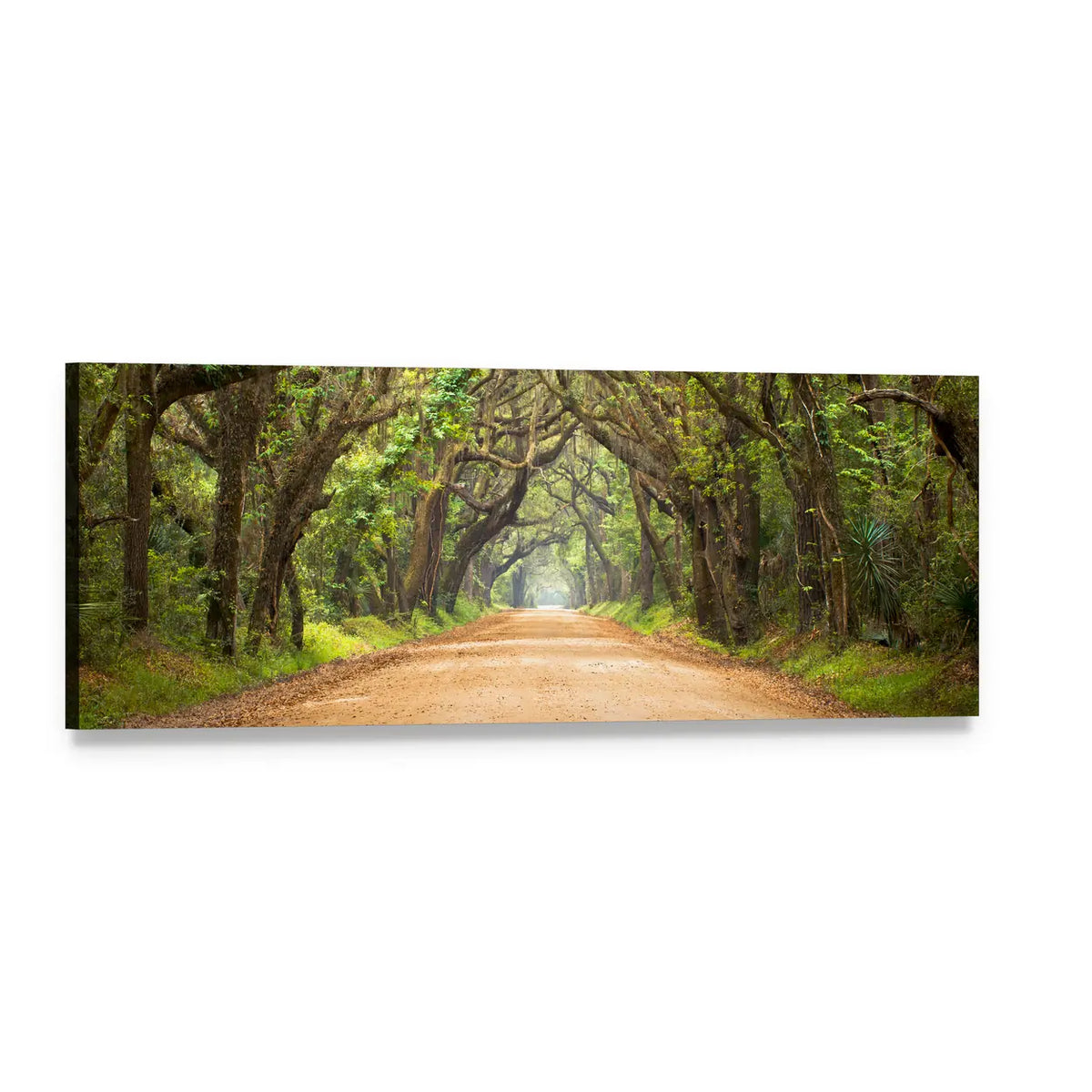 Dirt Road Through Lush Forest Canopy Panoramic Canvas Wall Art, single panel gallery wrapped canvas, angled product view