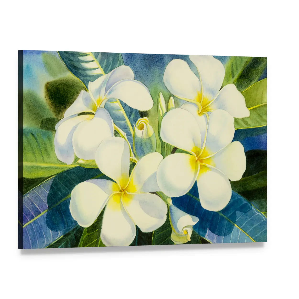 Realistic White Plumeria Close-up Canvas Wall Art, single panel gallery wrapped canvas, angled product view
