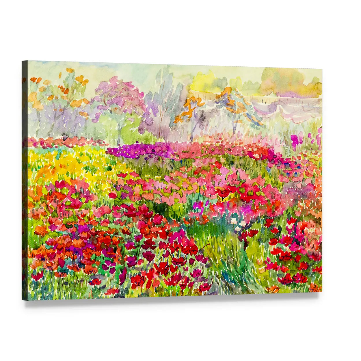 Watercolor Poppy Field in Spring Canvas Wall Art, single panel gallery wrapped canvas, angled product view