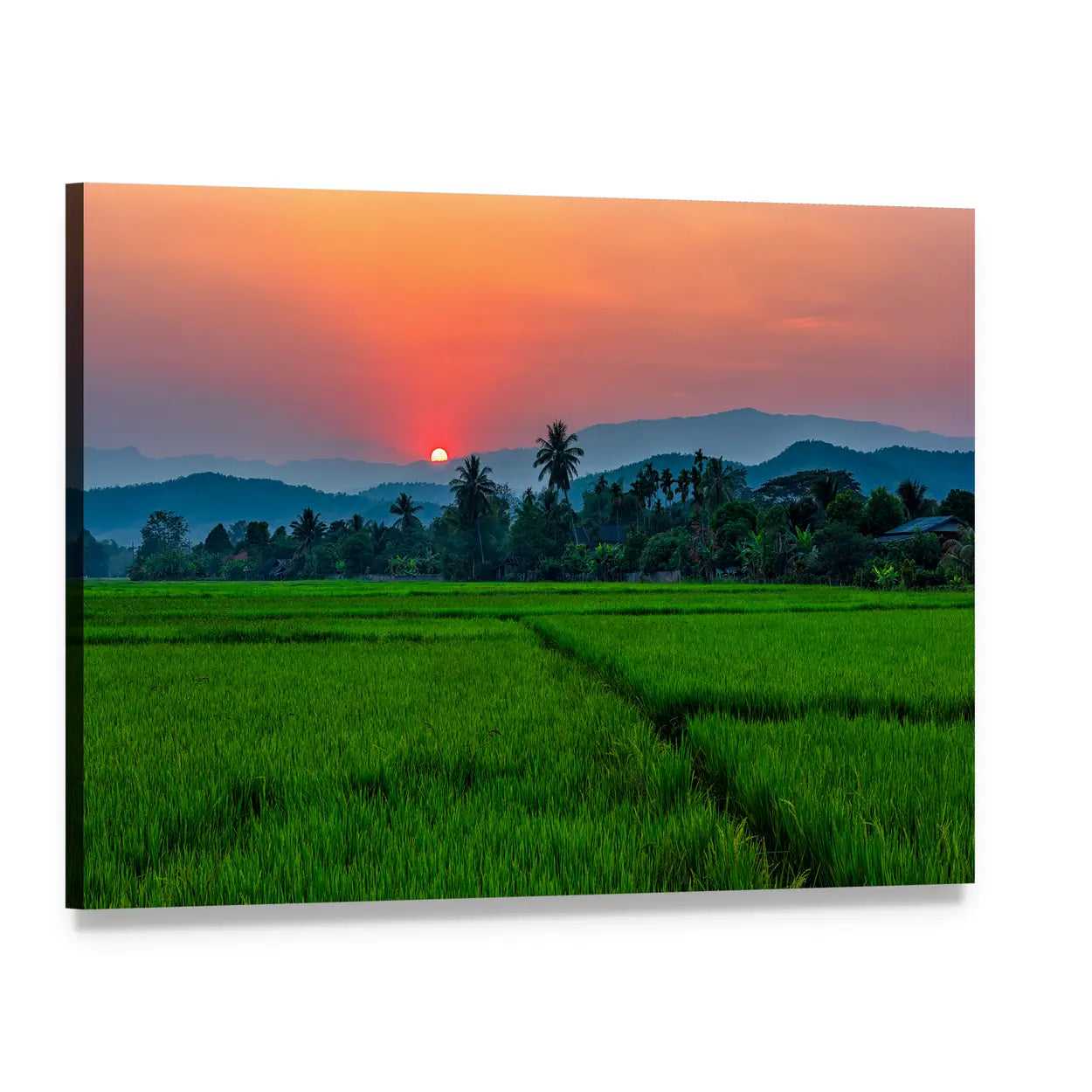 Mae Kon Rice Fields at Sunset, Chiang Rai Canvas Wall Art, single panel gallery wrapped canvas, angled product view
