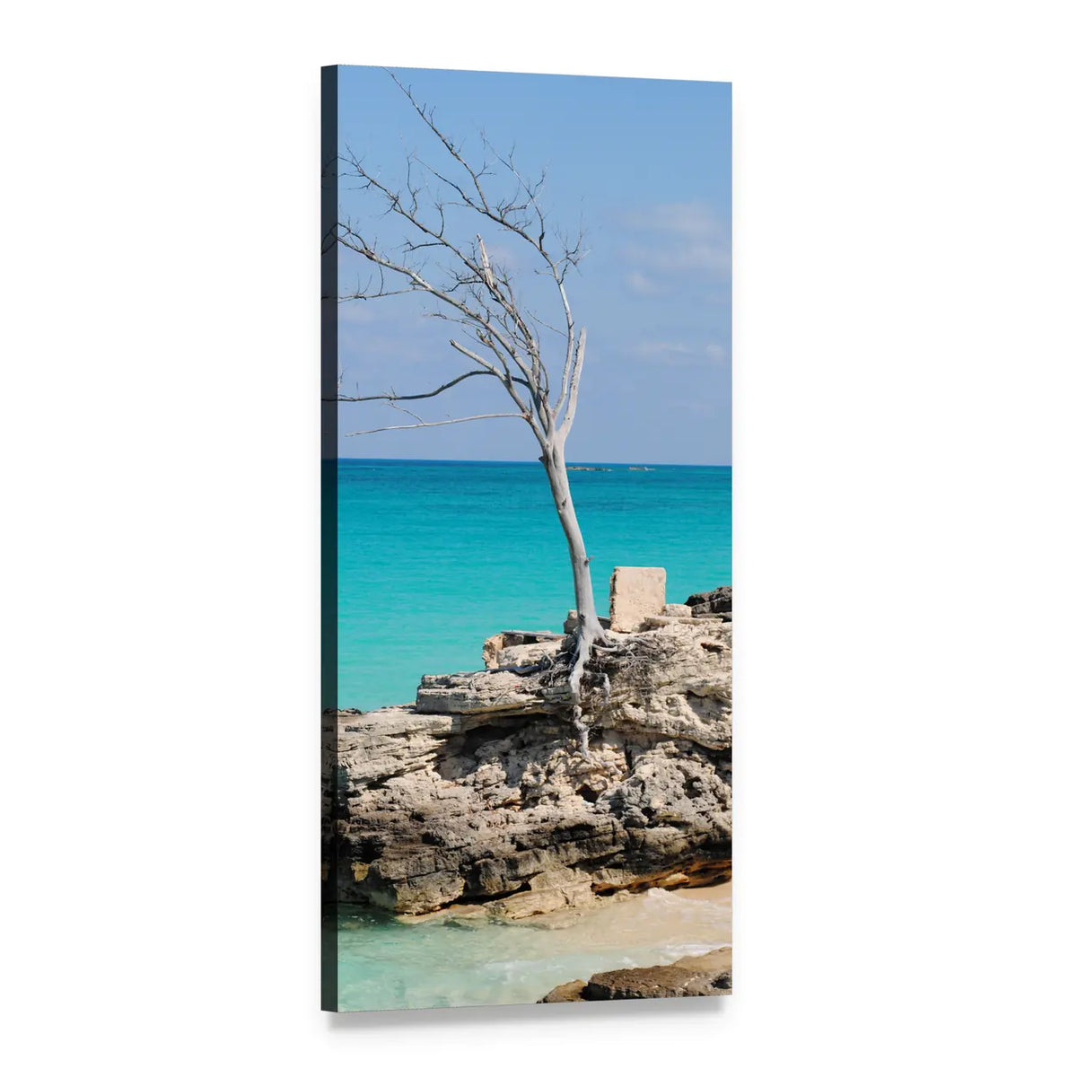 Barren Tree in Caribbean Sea Vertical Canvas Wall Art, 1 panel 1 Vertical layout gallery wrapped canvas set, angled product view