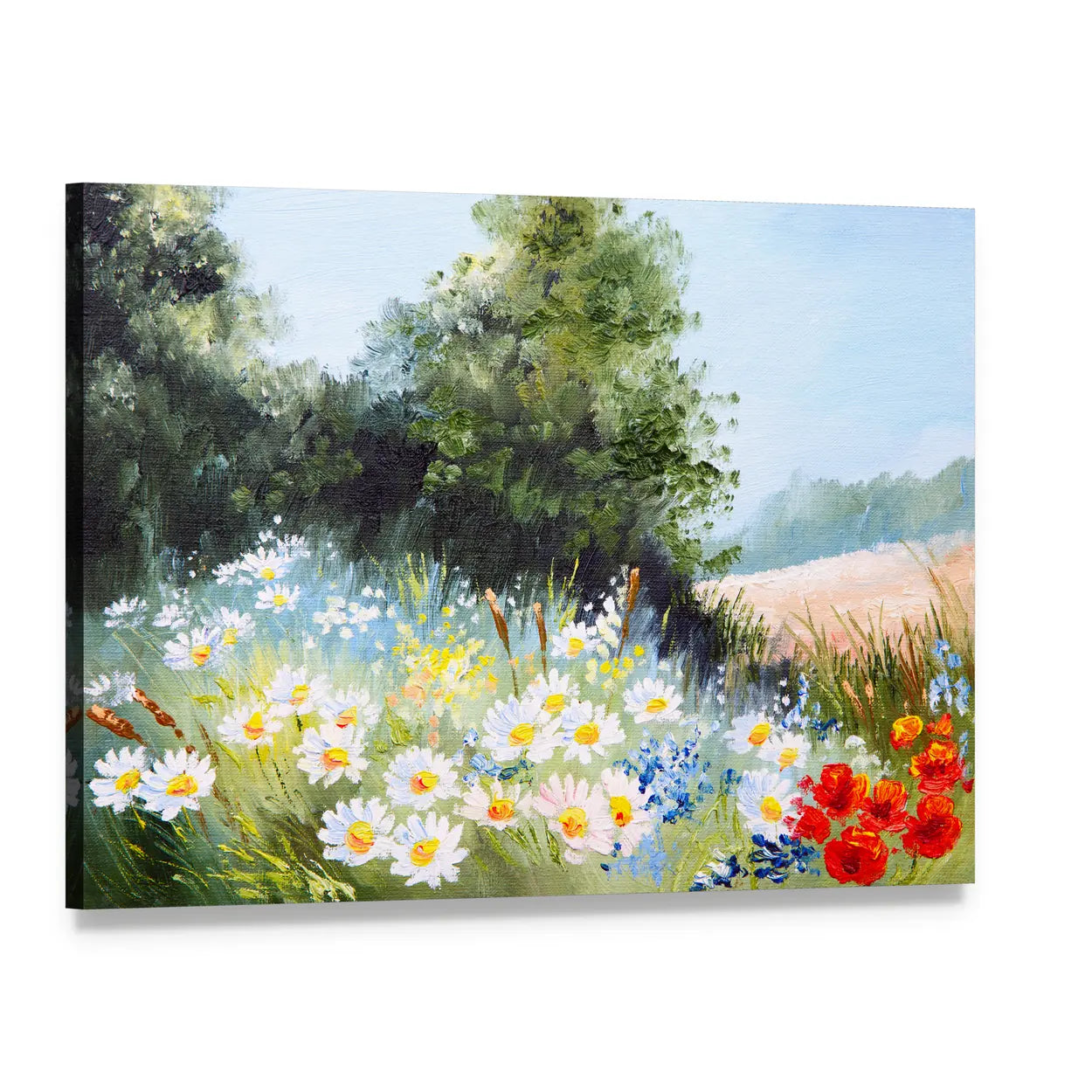 Meadow of Daisies Canvas Wall Art, single panel gallery wrapped canvas, angled product view